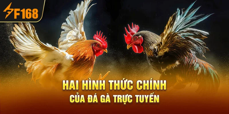 Hai hình thức chính của đá gà trực tuyến