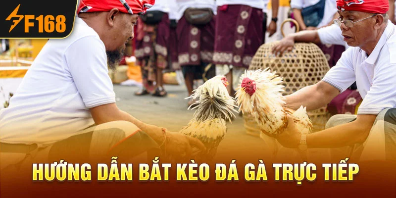 Hướng dẫn bắt kèo đá gà trực tiếp