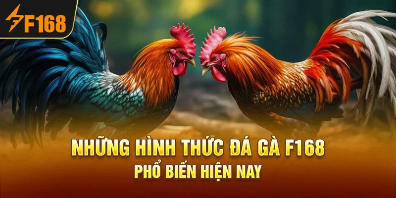 Những hình thức đá gà F168 phổ biến hiện nay