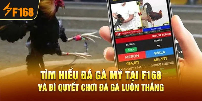 Tìm Hiểu Đá Gà Mỹ Tại F168 Và Bí Quyết Chơi Đá Gà Luôn Thắng